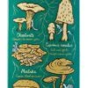 Drawing Boards Shroom Custom Complete Skateboard - 8.5" 8 Drawing Boards Shroom Custom Complete Skateboard - 8.5" -Skate Warehouse 5547bc40 a279 4de6 b35b 47a15bbbfee6