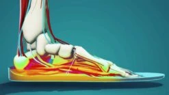 Footprint Gamechanger Elite Custom Orthotic Insoles Mid 9 Footprint Gamechanger Elite Custom Orthotic Insoles Mid -Skate Warehouse 780fd981 2422 42cc 8dbe 6f1499099b3b