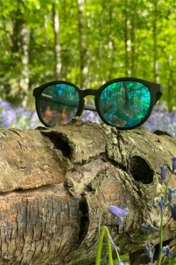 Luma Meldon Sunglasses - Blue 20 Luma Meldon Sunglasses - Blue -Skate Warehouse 9e1b69e4 f8d6 4cbd b56d d10ff5e74489